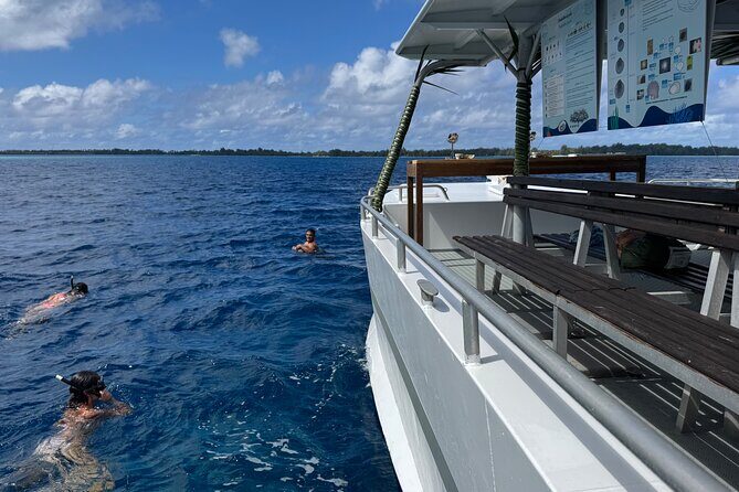 Snorkeling Discovery DE the Black Pearl and Lunch in Bora Bora - FAQs