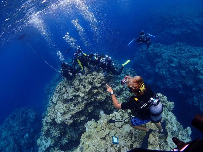 Snorkeling, Diving, & Fun Diving Experience in Kerama Islands - Three chances to get into the water