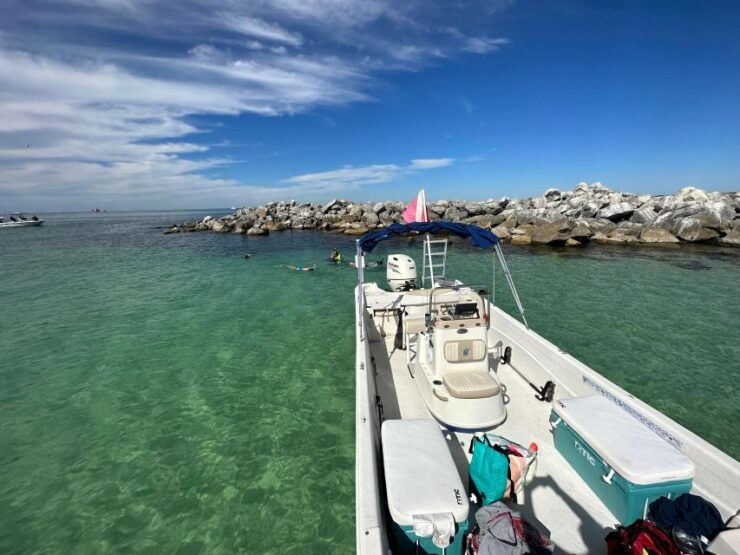 Snorkeling, Dolphins, Wildlife Sightings in St. Andrews Bay - Activities Offered in St. Andrews Bay