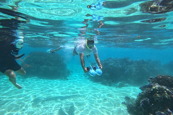 Snorkeling EN Underwater Scooter in Tahiti - Good To Know