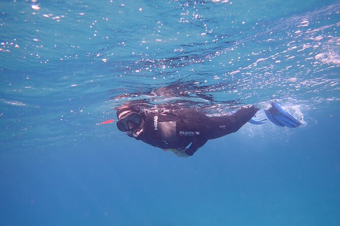 Snorkeling Excursion In South Tenerife - 3,5 Hours - Duration and Location