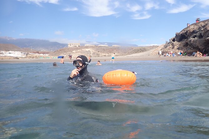 Snorkeling Excursion In South Tenerife - 3,5 Hours - Common Questions