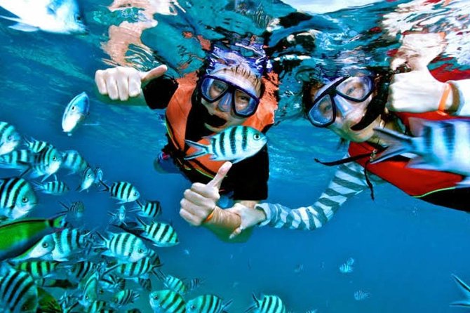 Snorkeling Experience At Blue Lagoon Bali With Lunch And Transfers - Booking Information