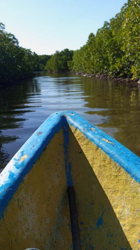 Snorkeling Experience at hidden Gili in Lombok - Day Trip - Introduction: Quiet Islands and Crystal Clear Waters