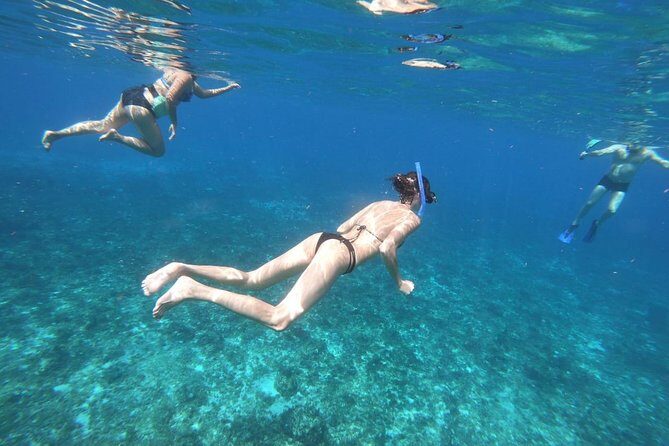 Snorkeling Experience Cozumel only from Playa del Carmen - FAQ