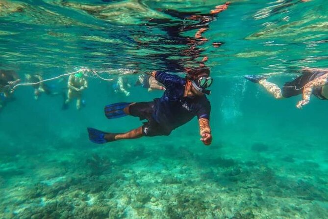 Snorkeling Experience in Cancun - Hands Underwater Museum - Tour Overview and Highlights