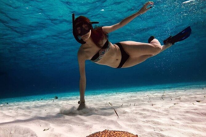 Snorkeling Experience in Cozumel with Transportation from Cancun - A Practical Look at the Cozumel Snorkeling Tour from Cancun