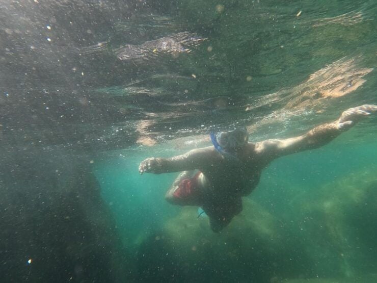Snorkeling Experience in Ischia With Local Guide - Booking Information