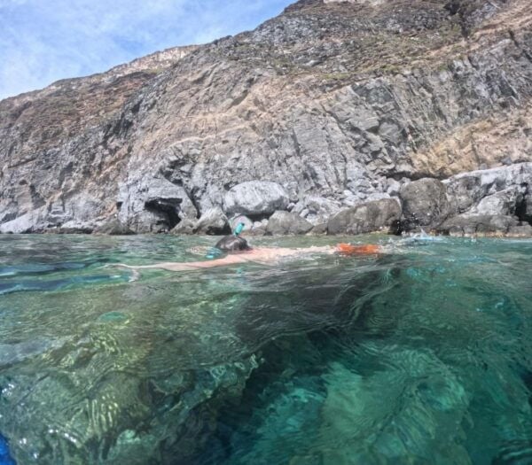 Snorkeling Experience in Ischia With Local Guide - Description