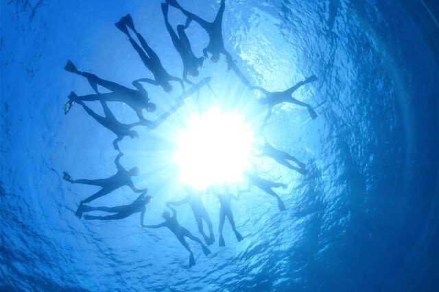 Snorkeling Experience in Ishigaki Island - What the crew and equipment can mean for beginners