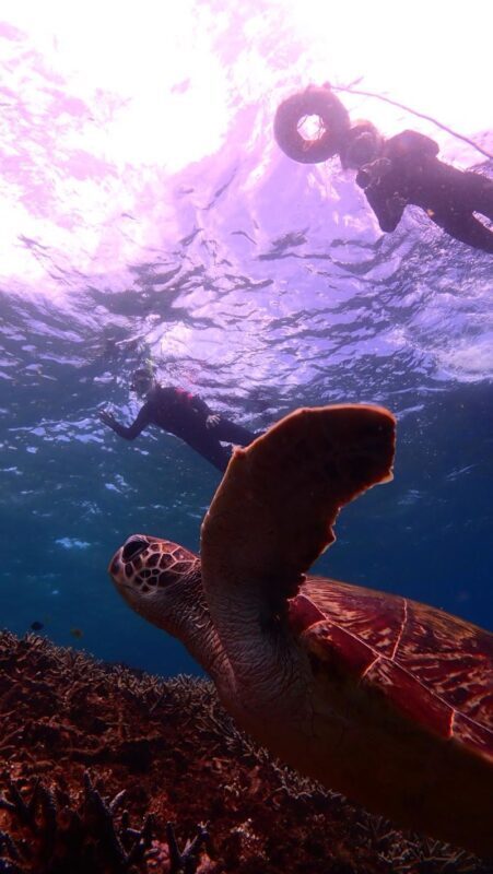 Snorkeling Experience in Miyako Island - Yabiji, Miyakojima’s offshore coral country