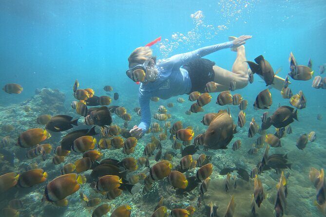 Snorkeling Experience in Nusa Penida with 4 Snorkeling Spots - What You Can Expect from This Nusa Penida Snorkeling Tour