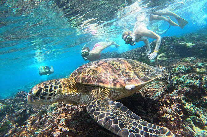 Snorkeling Experience in Nusa Penida with 4 Snorkeling Spots - Final Thoughts: Is This Tour Right for You?