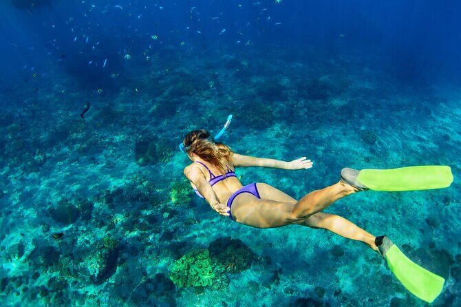 Snorkeling Experience in Underwater Museum with Transportation from Cancún - Final Thoughts