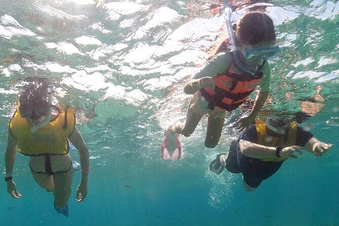 Snorkeling Experience in Underwater Museum with Transportation from Cancún - Frequently Asked Questions