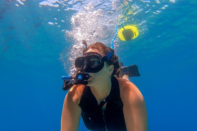Snorkeling Experience on a NEMO Diving System - Meeting Point and Logistics