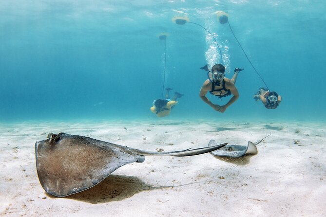 Snorkeling Experience on a NEMO Diving System - Inclusions and Equipment Provided