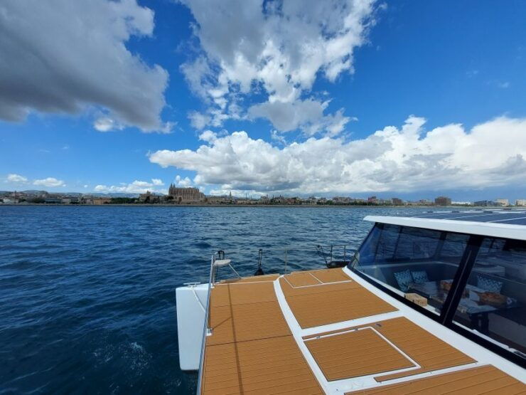 Snorkeling Experience Onboard of E-Catamaran at Palma Bay - Experience Highlights