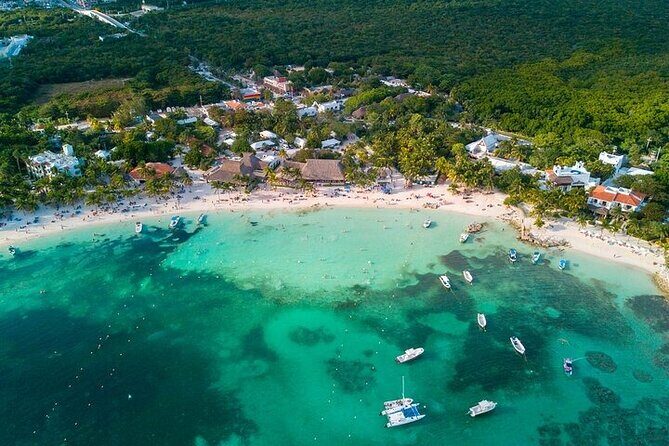 Snorkeling Experience with Turtles in Cenote in Riviera Maya - What to Expect: A Step-by-Step Breakdown