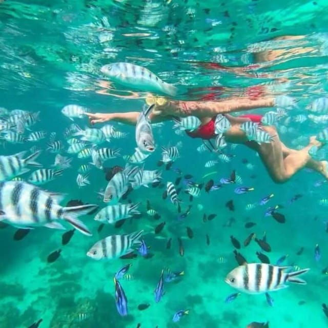 Snorkeling Express Puerto Morelos - Customer Reviews