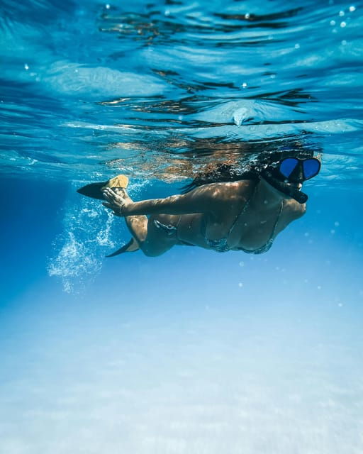 Snorkeling for beginners in crystal clear sea of Halkidiki - Introduction to the Snorkeling Experience