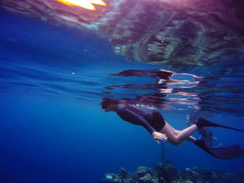 Snorkeling for beginners in crystal clear sea of Halkidiki - Final Thoughts