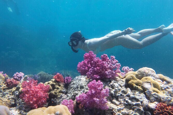 Snorkeling + Free Underwater Photos by Longtail Boat Koh Lipe A - Good To Know