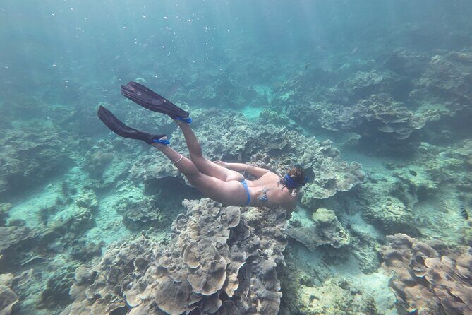 Snorkeling + Free Underwater Photos by Longtail Boat Koh Lipe A - Final Thoughts