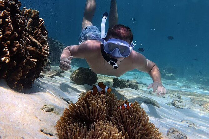 Snorkeling + Free Underwater Photos by Longtail Boat  Koh Lipe A - Final Thoughts: Is This the Tour for You?