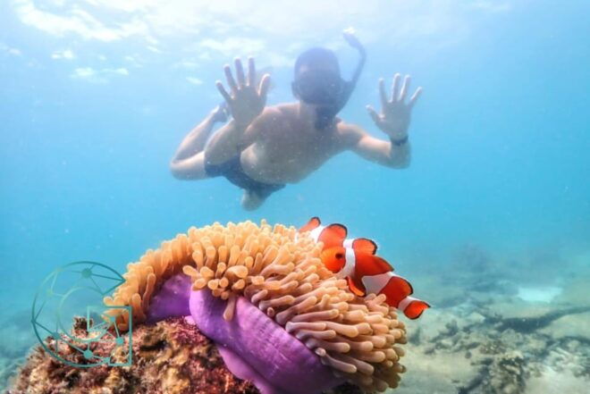 Snorkeling Full Day Experience From Bangkok - Inclusions and Exclusions