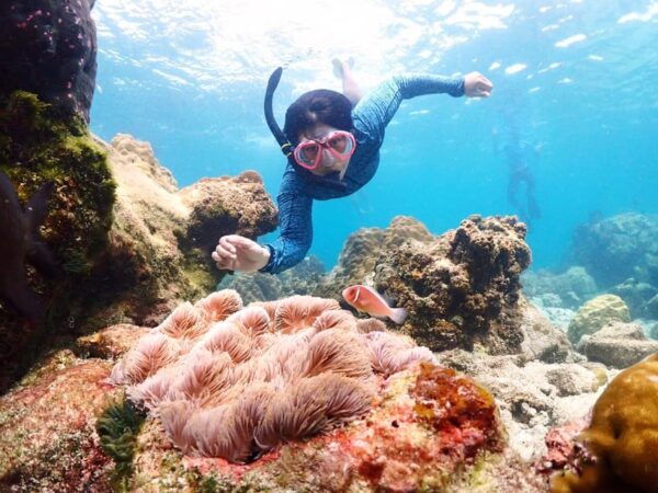 Snorkeling Full Day Experience From Bangkok - Customer Reviews