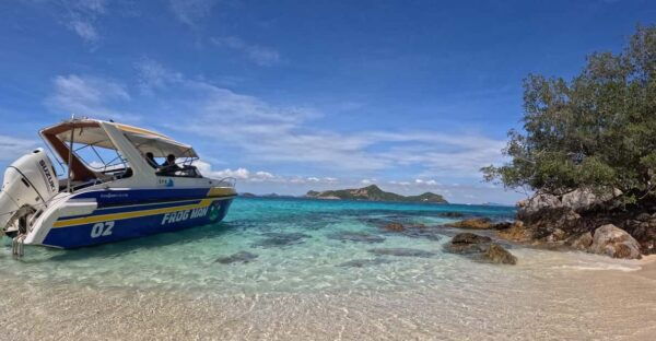 Snorkeling Full Day Experience From Bangkok - Booking Information