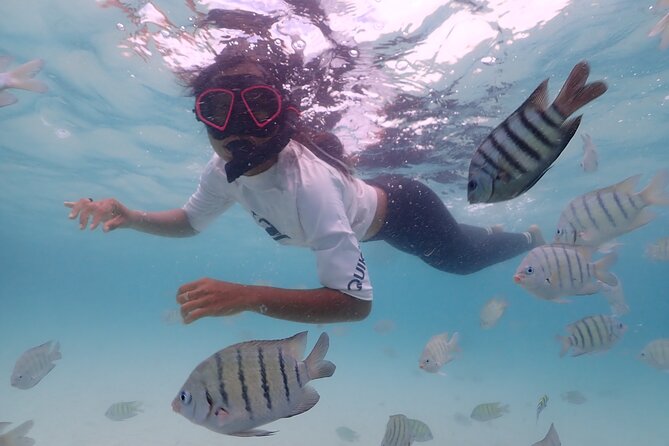 Snorkeling Full Day Experience From Bangkok - Overview