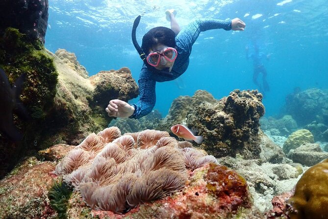Snorkeling Full Day Experience From Bangkok - All Fees and Taxes