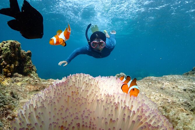 Snorkeling Full Day Experience From Bangkok - Meeting and Pickup