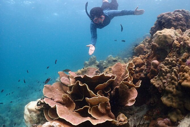 Snorkeling Full Day Experience From Bangkok - Common Questions