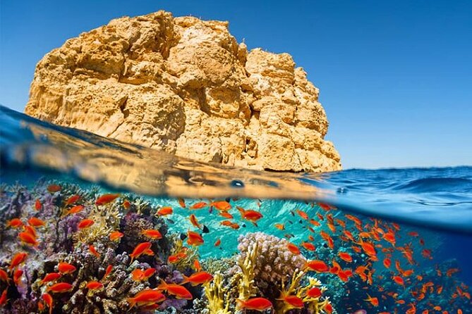 Snorkeling Full Day Ras Mohammed National Park by Boat From Sharm - Good To Know