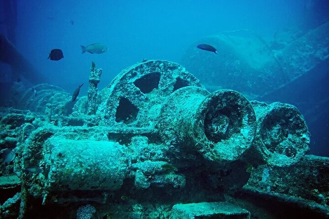 Snorkeling Full Day Ras Mohammed National Park by Boat From Sharm - Cancellation Policy