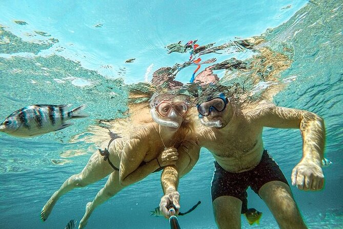 Snorkeling Full Day Ras Mohammed National Park by Boat From Sharm - Pricing Information
