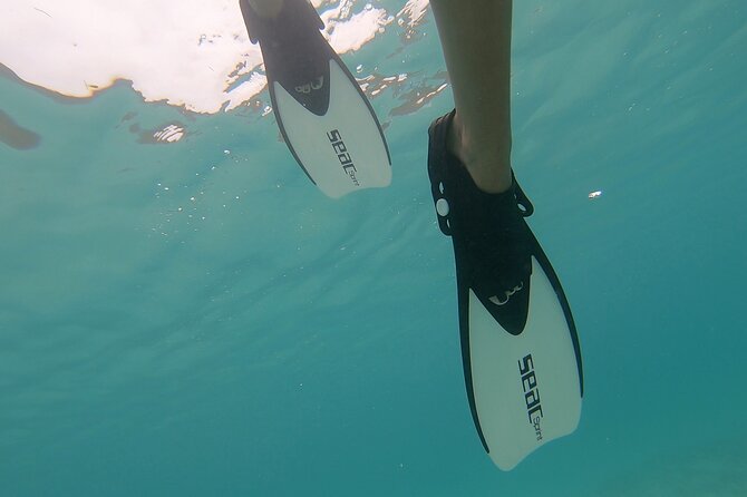 Snorkeling Gear Rental - Types of Snorkeling Gear Available