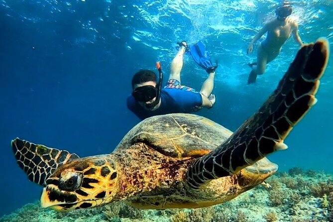 Snorkeling Gili Islands Coral, Turtles & Underwater Statues - Inclusions for the Snorkeling Tour
