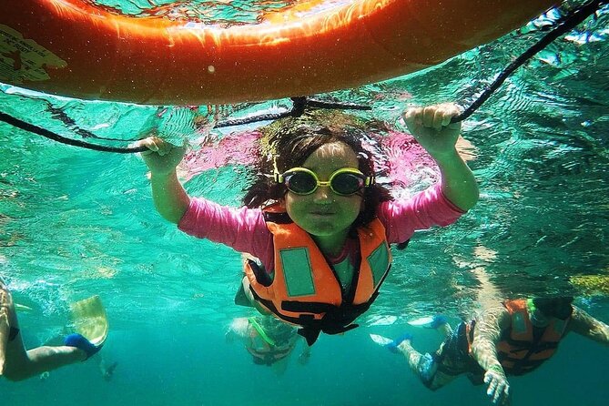 Snorkeling Guided Activity in Puerto Morelos Mexico - Overview and Booking Details