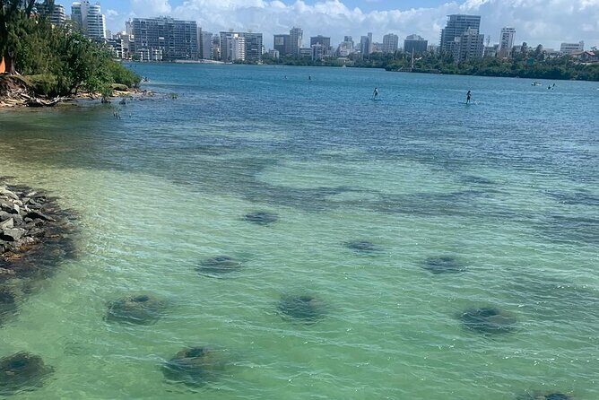 Snorkeling Guided Tour Experience in Condado Lagoon - Good To Know