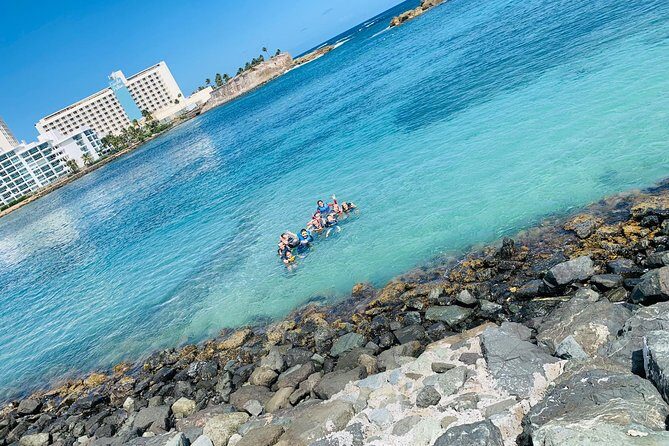 Snorkeling Guided Tour Experience in Condado Lagoon - What to Expect from the Snorkeling Tour