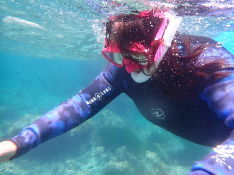 Snorkeling guided tours for tha all family! - Authentic Insights from Previous Travelers