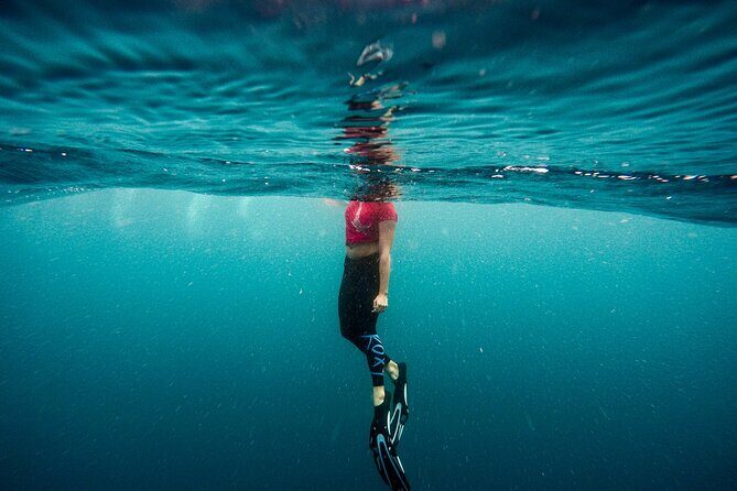 Snorkeling in Amed and Tulamben - Good To Know