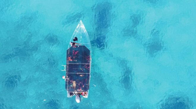 Snorkeling in Cozumel Waters in a Transparent Boat + Beers - Meeting and Transportation
