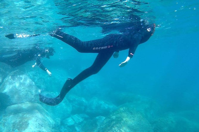 Snorkeling in Gran Canaria With Hotel Pick-Up - Overall Experience