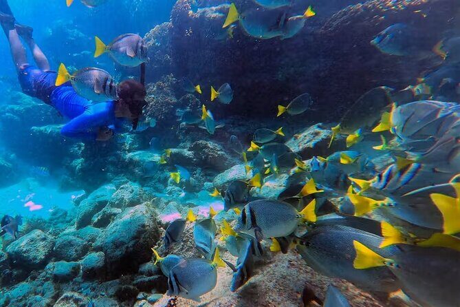 Snorkeling in Marietas Islands and BBQ in Playa Majahuitas - Final Thoughts