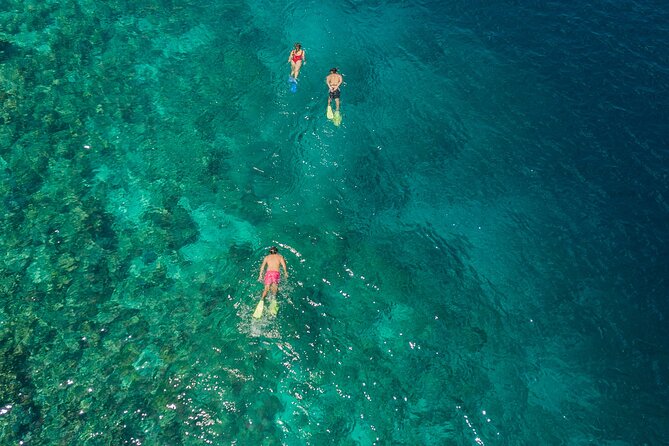 Snorkeling in Menjangan Island With Pickup and Lunch - Additional Information